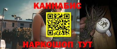 apvp Бердск