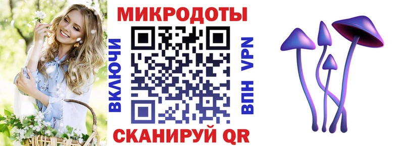 хочу наркоту  Красноперекопск  Псилоцибиновые грибы Psilocybe 