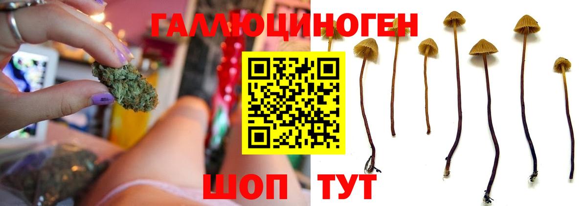 Псилоцибиновые грибы мухоморы  Вход с VPN  Красноперекопск 